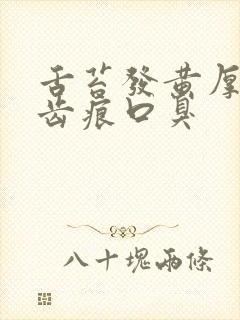 舌苔发黄厚腻有齿痕口臭