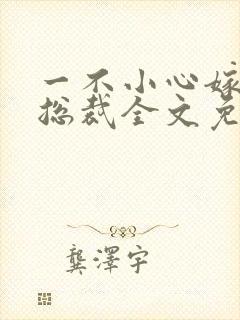 一不小心嫁了个总裁全文免费阅读