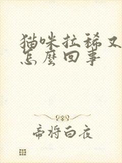 猫咪拉稀又吐是怎么回事