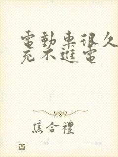 电动车很久没骑充不进电