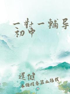 一对一辅导地理 初中