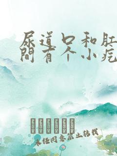 尿道口和肛门之间有个小疙瘩是怎么回事