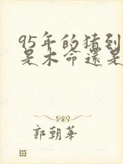 95年的猪到底是木命还是火命