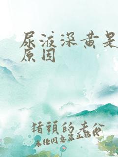 尿液深黄是什么原因