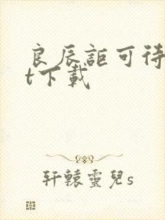 良辰讵可待txt下载