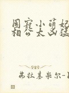 团宠小萌妃王爷相公太凶猛安仔