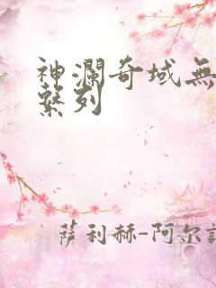 神澜奇域无双珠系列