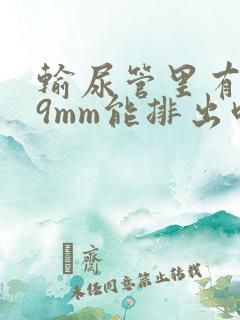 输尿管里有结石9mm能排出吗