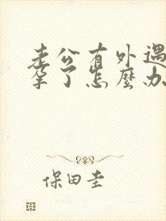 老公有外遇还怀孕了怎么办