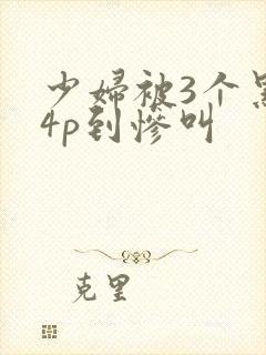 少妇被3个黑人4p到惨叫