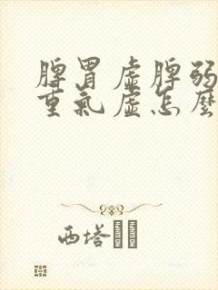 脾胃虚脾弱湿气重气虚怎么调