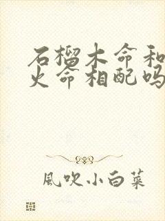 石榴木命和天上火命相配吗