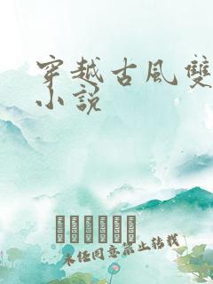 穿越古风双男主小说