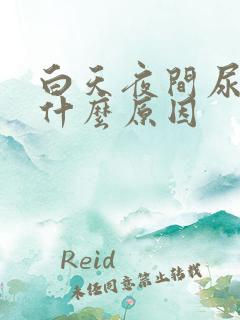 白天夜间尿多是什么原因