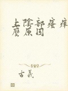 上阴部瘙痒是什么原因