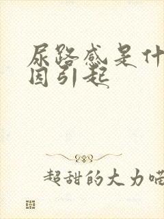 尿路感是什么原因引起