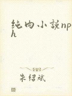 纯肉小说np高h