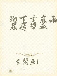 狗下完崽两个月尿还带血