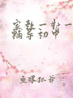 家教一对一上门辅导初中