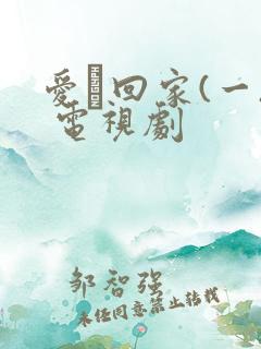 爱·回家(一) 电视剧