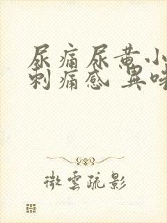 尿痛尿黄小便有刺痛感 异味重