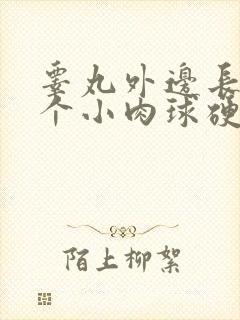 睾丸外边长了一个小肉球硬硬的