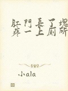 肛门长了块肉还疼一上厕所就出血