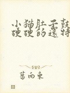 小猫肚子鼓鼓的硬硬的还特别能吃