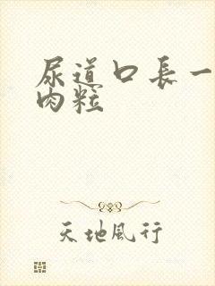 尿道口长一堆小肉粒