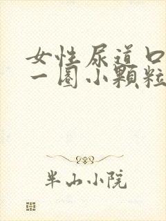 女性尿道口长了一圈小颗粒是什么