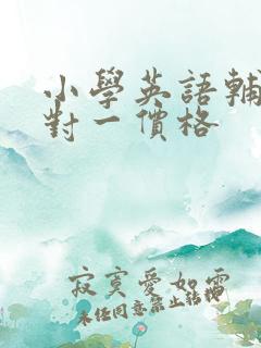 小学英语辅导一对一价格