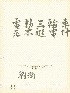 电动三轮车电瓶充不进电什么原因