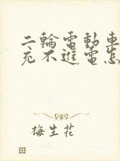 二轮电动车电瓶充不进电怎么解决