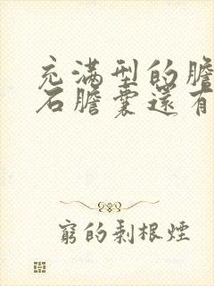 充满型的胆囊结石胆囊还有用嘛