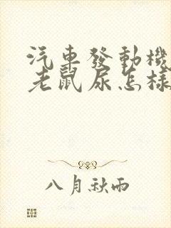 汽车发动机舱的老鼠尿怎样去除