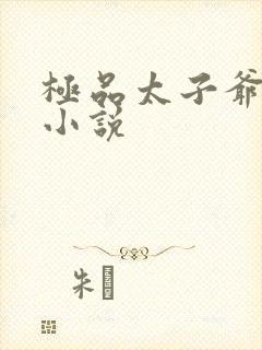 极品太子爷浮沉小说