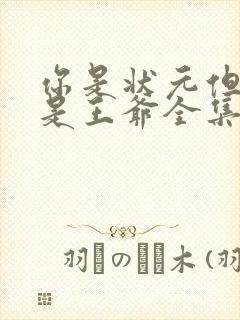 你是状元但你爹是王爷全集介绍