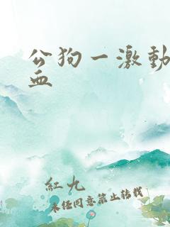 公狗一激动就尿血