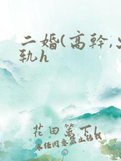 二婚(高干,出轨h