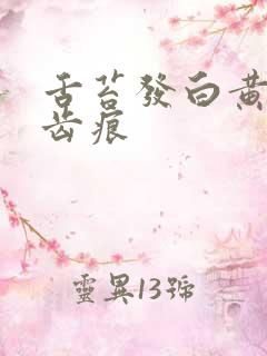 舌苔发白黄腻有齿痕