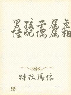 男孩子属兔的最佳配偶属相