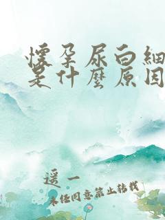 怀孕尿白细胞高是什么原因