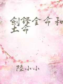 剑锋金命和路边土命