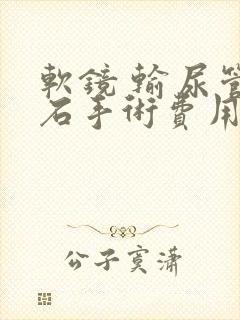 软镜 输尿管结石手术费用