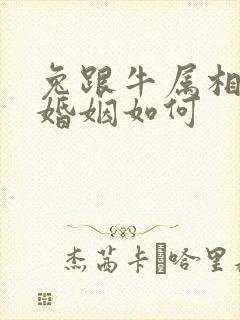 兔跟牛属相相配婚姻如何