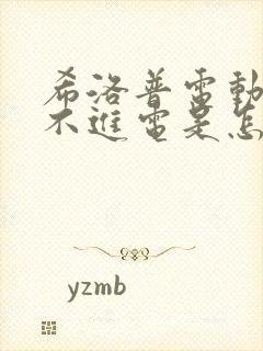 希洛普电动车充不进电是怎么回事