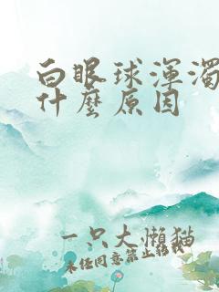 白眼球浑浊发黄什么原因