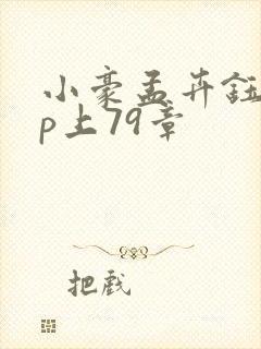 小豪孟卉钰慧三p上79章