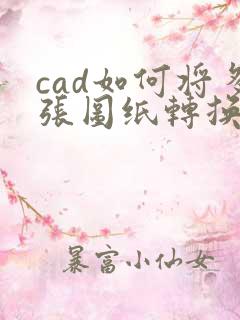 cad如何将多张图纸转换成pdf