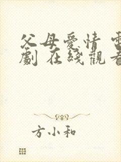 父母爱情 电视剧 在线观看